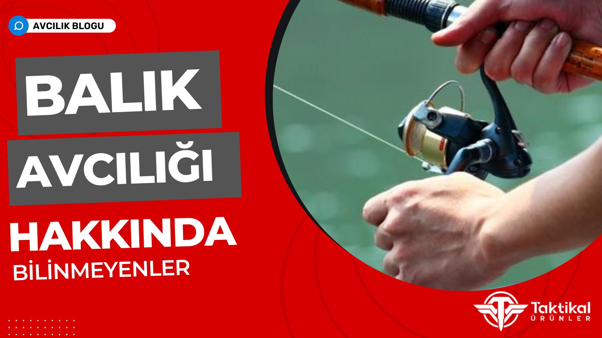 Balık Avcılığı Hakkında Bilinmeyenler