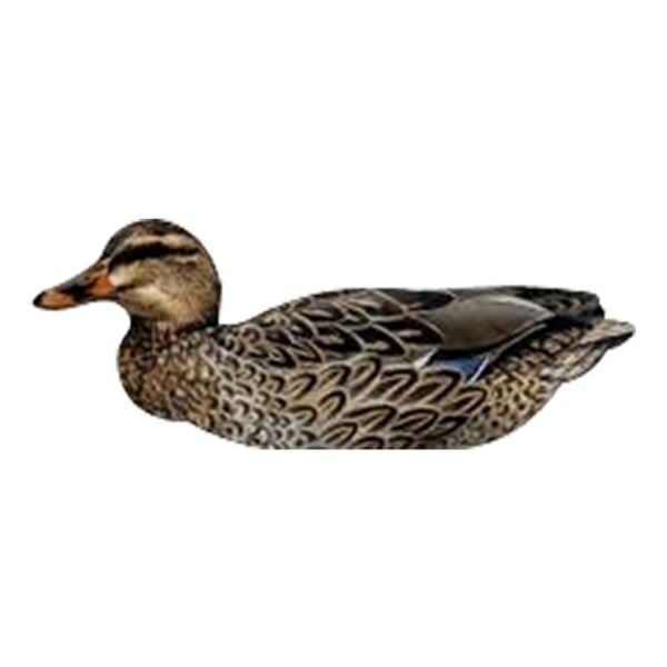 T.%20NRA%20FUD%20Mallard%20Ducks%20Ördek%20Mühre-(3%20ERKEK-3%20DİŞİ)