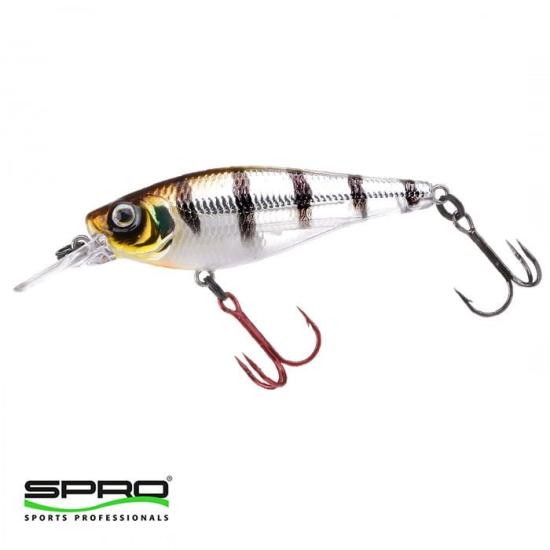 SPRO Ikiru Shad Buzzer 7,0cm 11G Maket Yem 1/1