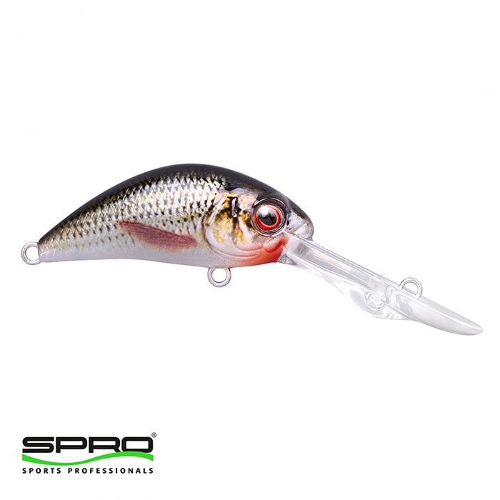 T.D.%20SPRO%20Ikiru%20CHR%20BB%20Crank%20DD%20FL%20Roach%20Maket%20Yem